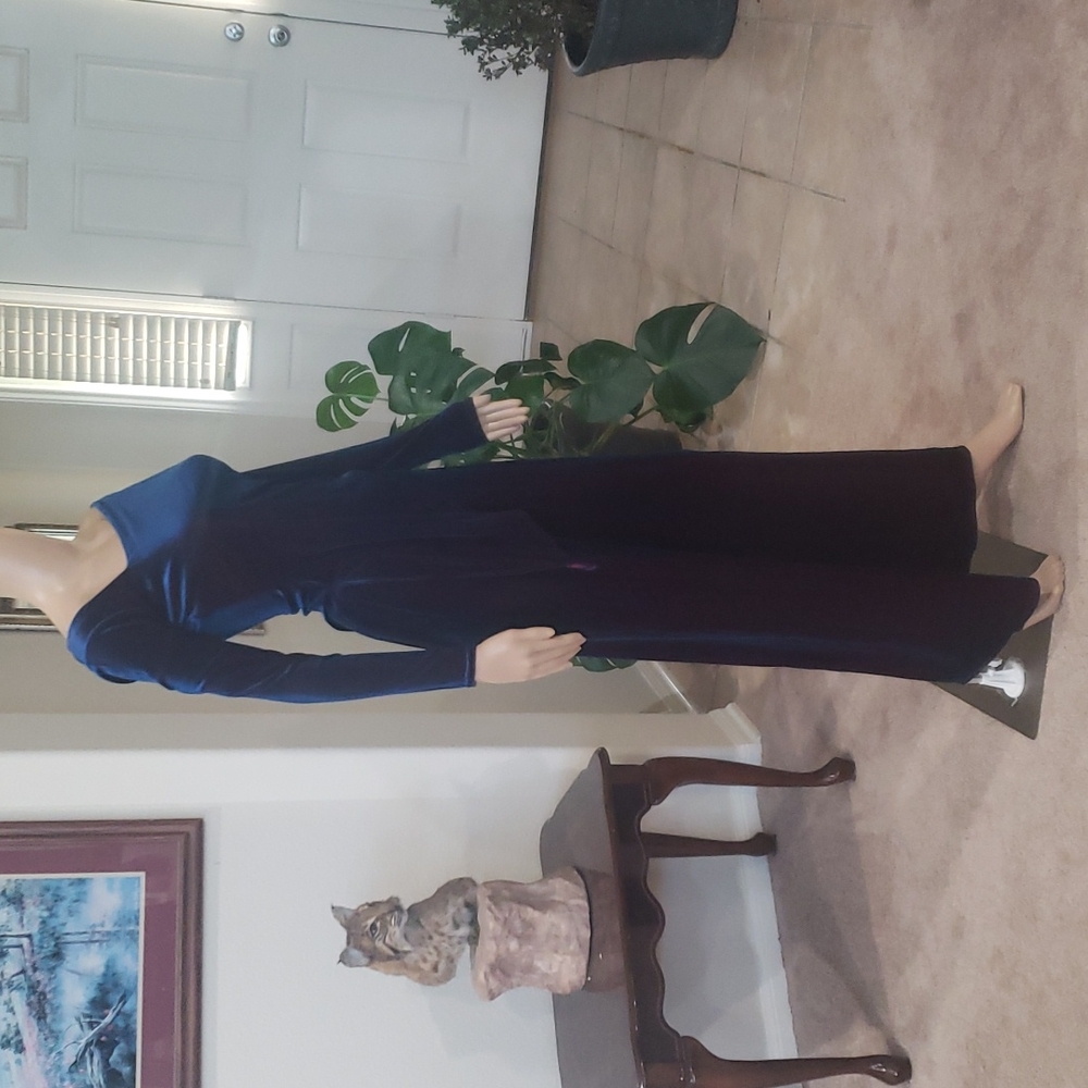 Geneva s irredescent asymmetrical top wide leg pant stretchy velour